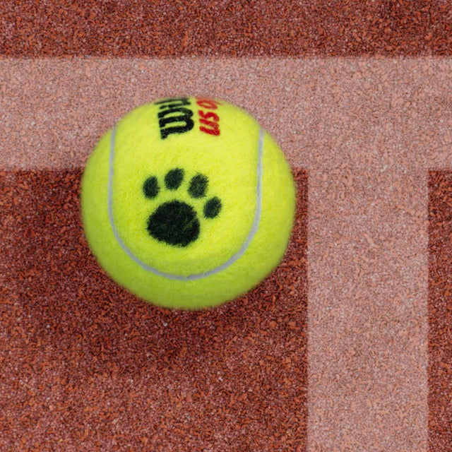 Stencil for BallTrace Tennis Ball Marker (Paw Emoji)